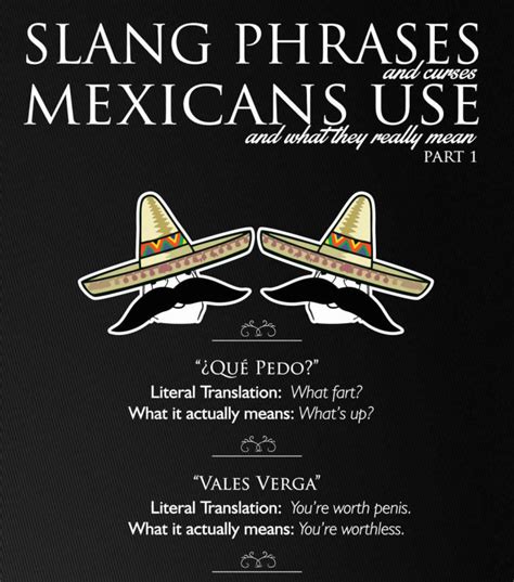 a la verga spanish slang|All the Mexican Slang Terms You Need .